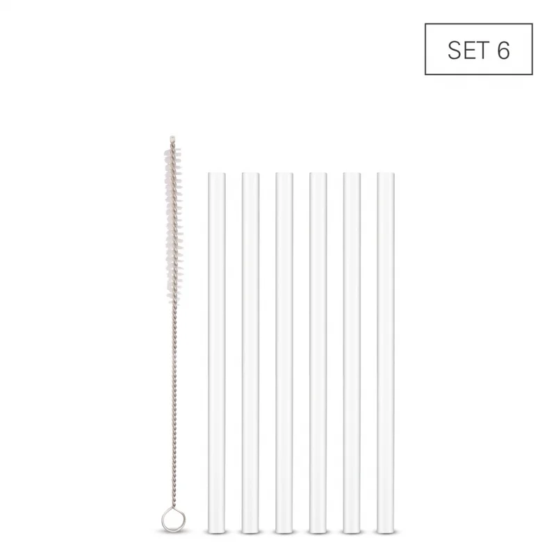 Glastrinkhalme Set 6 Stück mit Reinigungsbürste